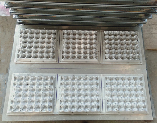 Modificado para requisitos particulares 30 agujeros reduzca a pulpa para moldear la celulosa moldeada de aluminio