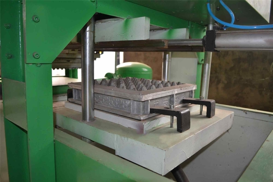 Intercambiando 350 PC 1 molde 30kw Egg la bandeja que hace la máquina