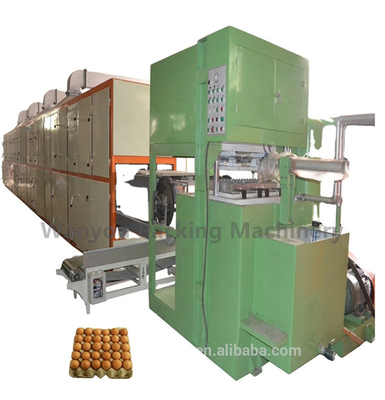 Fruta seca Tray Egg Tray Equipment de Disposable Paper Molded del fabricante
